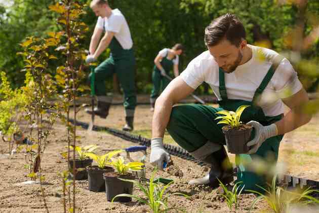 working at landscaping business