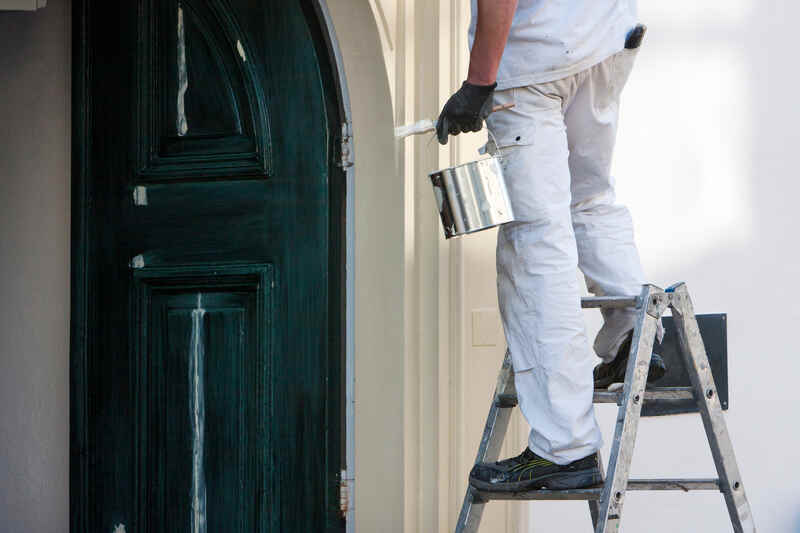 Professional house painter